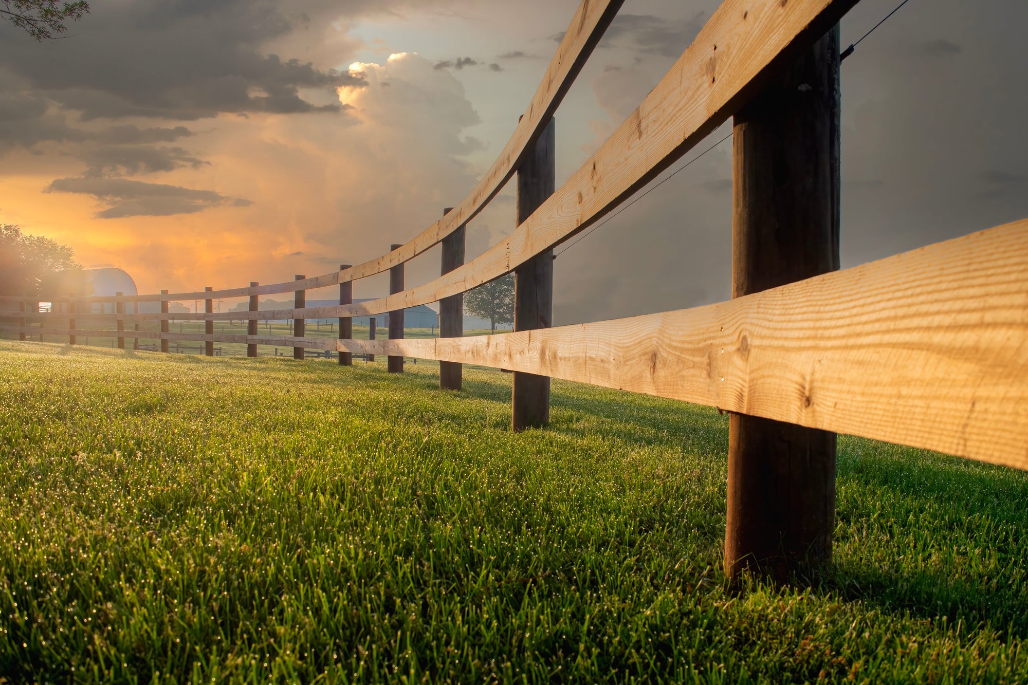 Fence Posts
