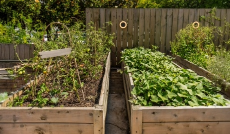 Ungraded Treated Timber