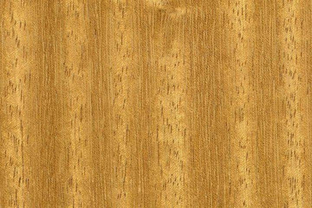 25mm FAS Iroko sawn and kiln dried hardwood board showing golden brown grain and coarse texture