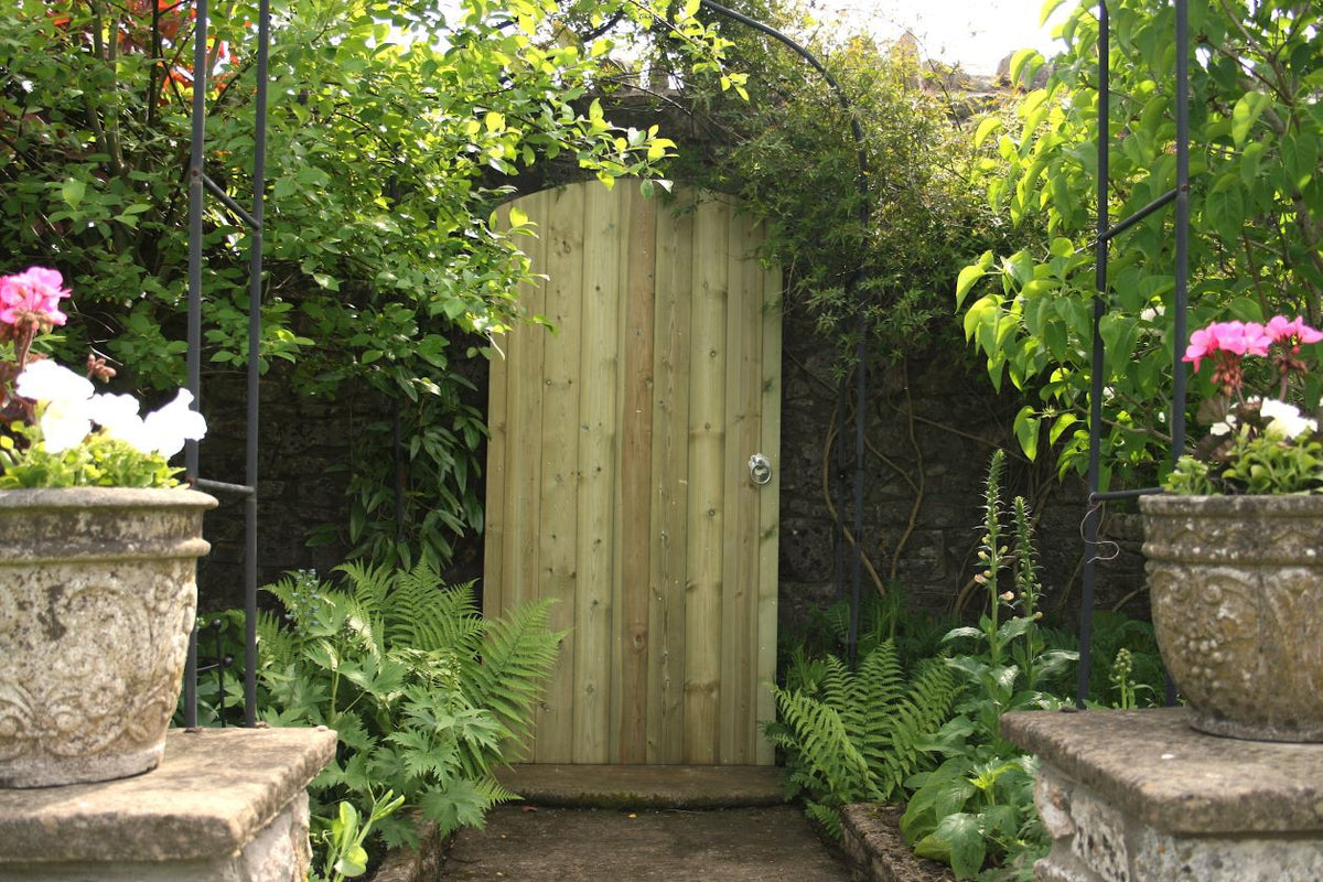 Hutton curved top timber garden gate 915x1830mm, pressure treated softwood with tongue and groove boards