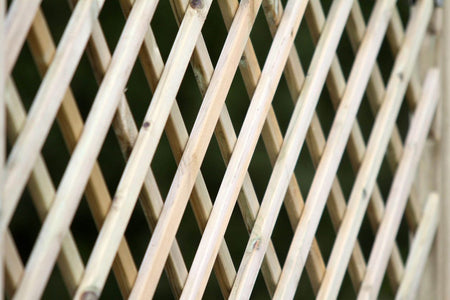 Hutton Diamond Trellis Panels