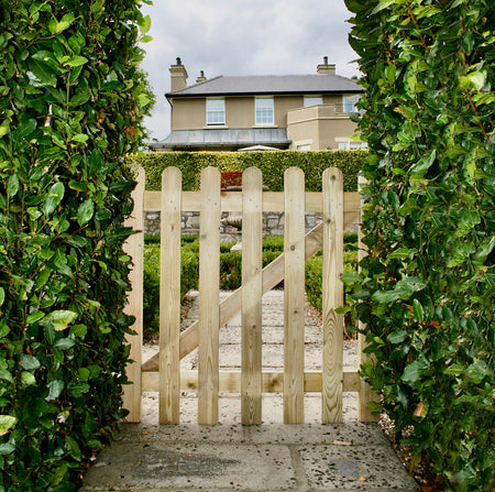 Hutton Picket Pale Gate pressure treated softwood garden gate