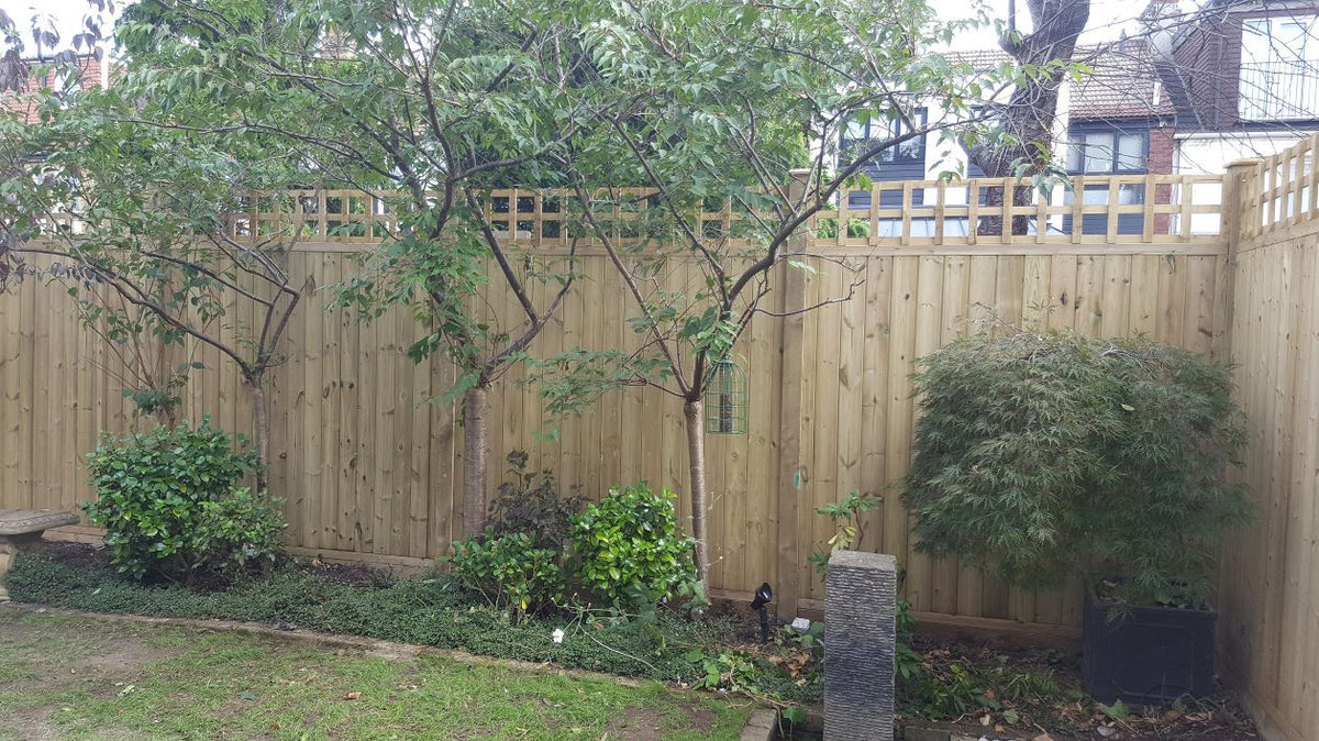 Hutton Deluxe V Joint Tongue and Groove Fence Panel 6x6ft, pressure treated softwood
